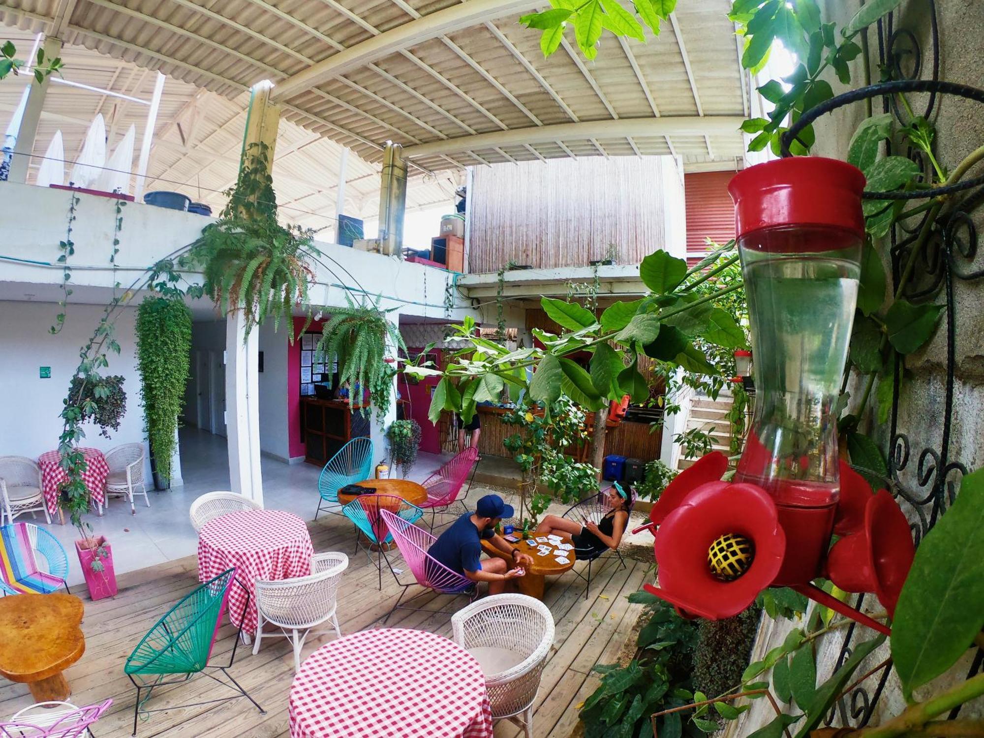 Casa Colibri Palomino Hotel Luaran gambar